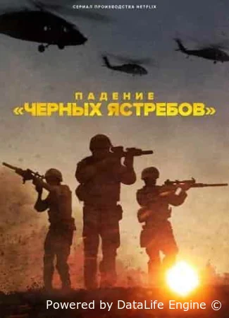 Падение «Черных ястребов»